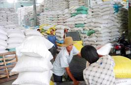 Theo ước tính, lượng gạo đang có trong kho của các doanh nghiệp có thể lên tới 1 triệu tấn.