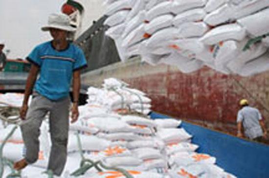 Hiện giá xuất khẩu gạo Việt Nam 5% tấm đã đạt 520 USD/tấn.