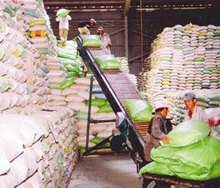 Gạo xuất khẩu của Công ty TNHH Xuất nhập khẩu Kiên Giang - Ảnh: TTXVN.