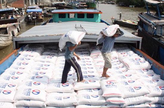 Dự báo lượng gạo xuất khẩu của năm 2011 ước tính đạt mức 7,1-7,4 triệu tấn.