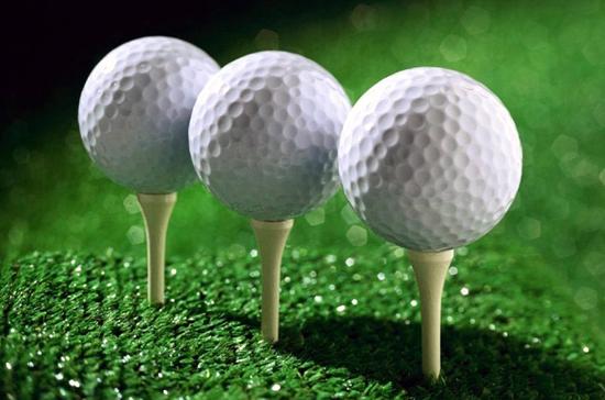 Trong tháng 3, chỉ thị của Thủ tướng về vấn đề sân golf có thể được ban hành.