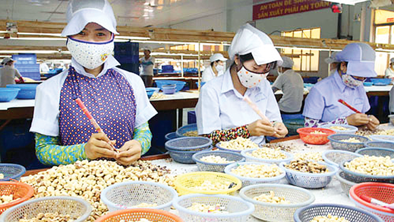 Trong quý đầu năm 2019, Campuchia là nguồn cung điều lớn nhất cho Việt Nam.