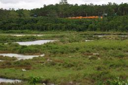 Khu vực sẽ xây hồ chứa bùn đỏ của dự án.