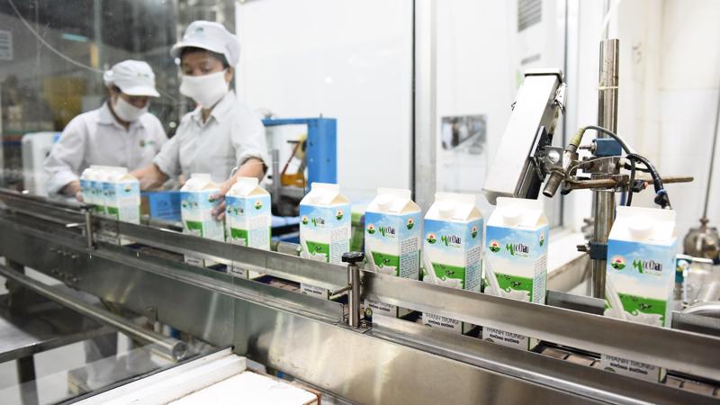 Mỗi ngày, Mộc Châu Milk đưa ra thị trường hơn 250 tấn sữa tươi phục vụ nhu cầu ngày càng tăng của người tiêu dùng.