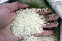 Tính đến trung tuần tháng 11, cả nước đã xuất trên 5,5 triệu tấn gạo, trị giá hơn 2,2 tỷ USD.