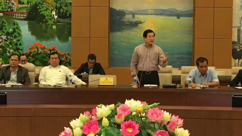 Chuyên gia Nguyễn Đình Quyền phát biểu tại phiên giải trình. 