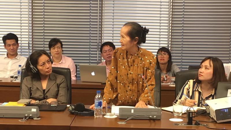 Chuyên gia kinh tế Phạm Chi Lan phát biểu tại cuộc họp. 