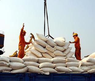 Quý 1/2009, xuất khẩu gạo tăng hơn 76% so cùng kỳ - Ảnh : Việt Tuấn