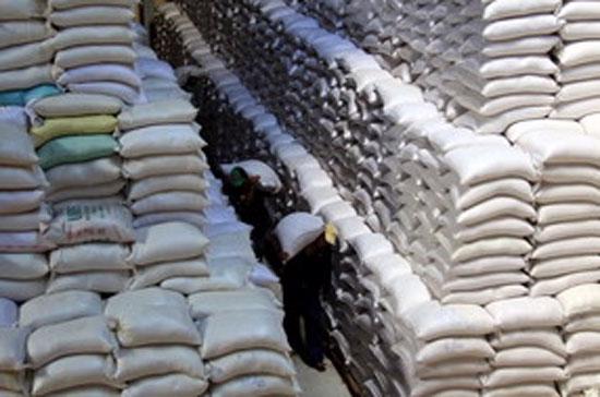 Doanh nghiệp kinh doanh xuất khẩu gạo phải có kho chứa chuyên dùng.