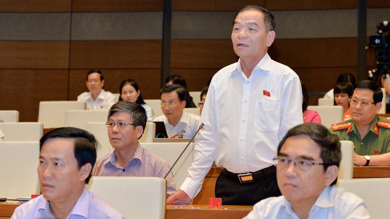 Đại biểu Lê Thanh Vân phát biểu tại nghị trường.