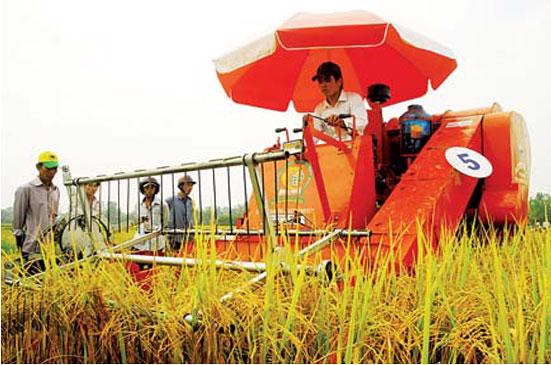 Từ nay đến cuối năm, tháng nào cũng có từ 300.0000 - 500.000 ha lúa cho thu hoạch.