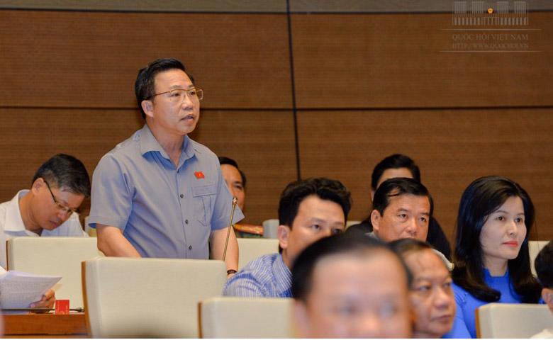 Đại biểu Lưu Bình Nhưỡng phát biểu tại nghị trường.