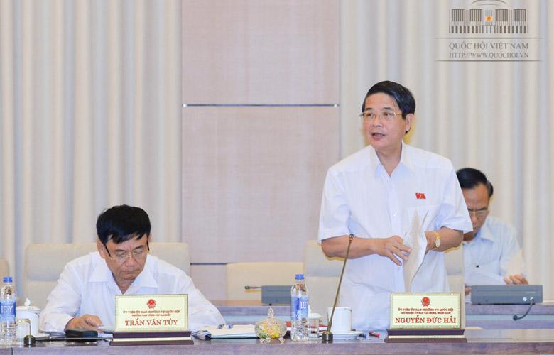 Chủ nhiệm Ủy ban Tài chính - Ngân sách Nguyễn Đức Hải phát biểu tại phiên họp.