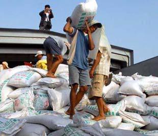 Hiệp hội phân bón Việt Nam đề xuất bãi bỏ giấy phép xuất khẩu phân bón.