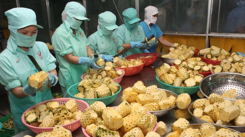 Xuất khẩu nông sản Việt Nam đứng thứ 2 Đông Nam Á và thứ 15 thế giới.