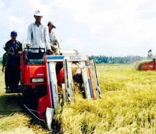 Những lĩnh vực mà doanh nghiệp Việt Nam và Sudan có thể hợp tác là: nông nghiệp, năng lượng, dịch vụ và hàng không...