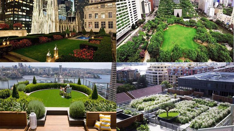 Một số khu vườn trên mái: Rockefeller Center Roof Garden (Hoa Kỳ), Acros Garden (Nhật Bản), Đài quan sát và Signature Apartments ở Redfern (Úc).