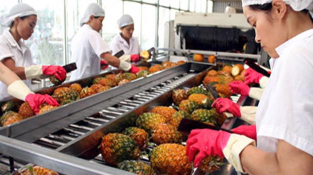 Trung Quốc vẫn là thị trường xuất khẩu chính của Việt Nam, với tỷ trọng chiếm tới 74,6%