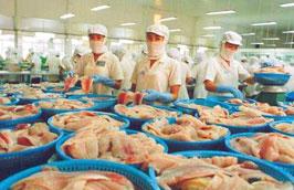 10 tháng đầu năm Việt Nam đã xuất khẩu sang Brazil 12.000 tấn cá tra, trị giá 25 triệu USD.
