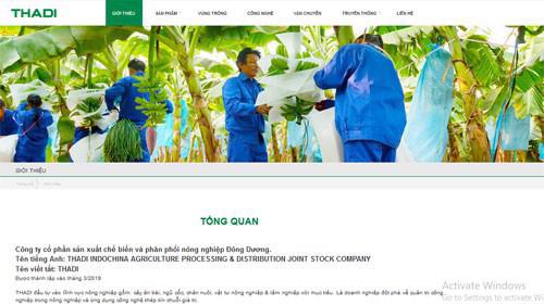 Trang web của Công ty sản xuất chế biến và phân phối nông nghiệp Thadi.