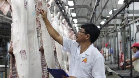 Xuất khẩu thịt lợn gặp khó vì xu hướng bảo hộ gia tăng.