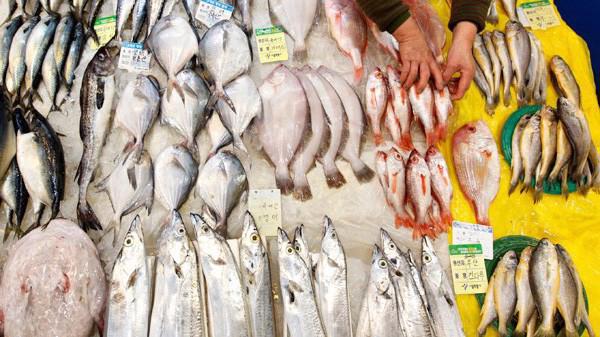 Xuất khẩu cá tra sang thị trường Nhật Bản tăng đột biến trong 4 tháng đầu năm, top 10 thị trường nhập khẩu lớn cá tra nhiều nhất của Việt Nam. Ảnh minh hoạ.