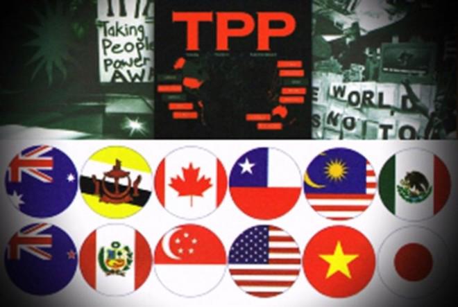 TPP cần phải được quốc hội mỗi quốc gia thành viên phê chuẩn. Đây là một quá trình không hề dễ dàng và có thể mất thời gian nhiều tháng.<br>