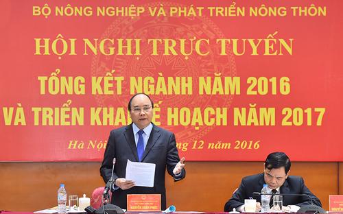 Thủ tướng cho rằng, Việt Nam là một trong những quốc gia có tốc độ tăng trưởng Interet cao 
nhất thế giới, thế nhưng với người nông dân, kiến thức về thương mại 
điện tử còn rất hạn chế.