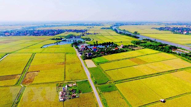 Chuyên gia tin rằng, tiềm năng của thị trường bất động sản nông nghiệp Việt Nam vẫn còn bỏ ngỏ.