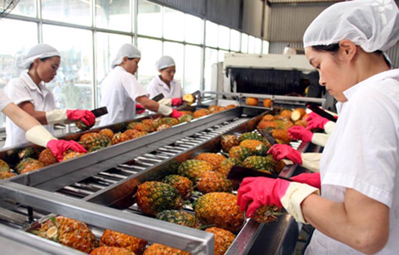 Xuất khẩu rau quả Việt Nam sang UAE đạt 22,8 triệu USD năm 2016.