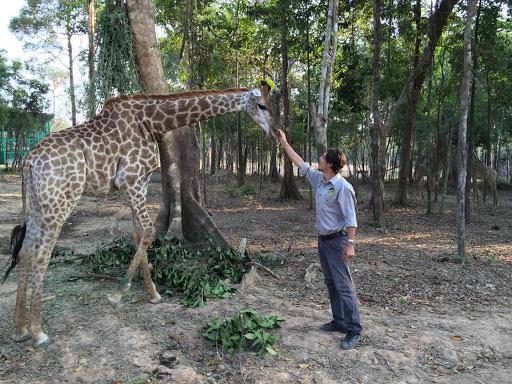 Dẫn đánh giá của các chuyên gia nước ngoài đảm trách nhiệm vụ cố vấn và chăm sóc thú, Vingroup cho biết tới nay tất cả các cá thể động vật tại Vinpearl Safari Phú Quốc đều đã thích nghi và hoàn toàn khỏe mạnh.&nbsp;