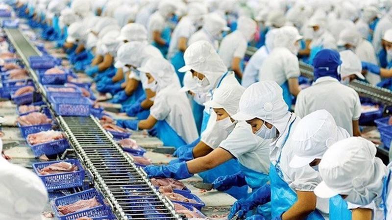 Tính tới hết năm 2020, Vĩnh Hoàn có 5 công ty con đều liên quan tới ngành thuỷ sản gồm sản xuất giống cá tra, thức ăn thuỷ sản, chiết xuất và sản xuất gelatin, collagen và 01 công ty liên kết trong lĩnh vực sản xuất phân bón.