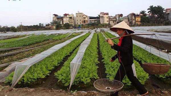 Tối đa 100 triệu đồng đối với cá nhân, hộ gia đình cư trú ngoài khu vực nông thôn có hoạt động sản xuất kinh doanh trong lĩnh vực nông nghiệp.