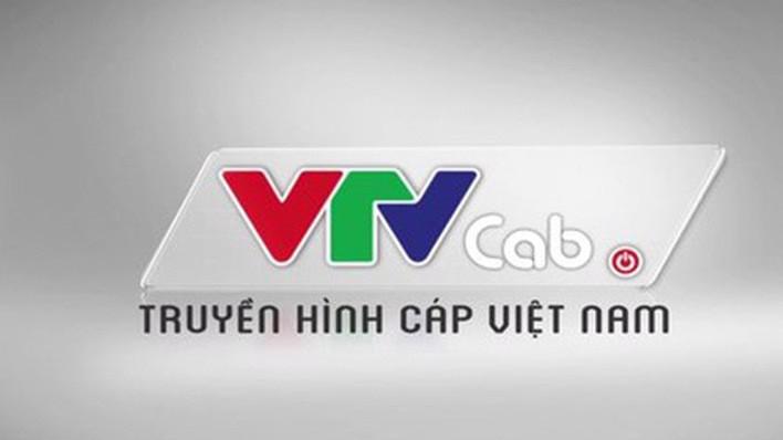 VTVcab được định giá 12.500 tỷ đồng, khá lớn so với giá trị thực tế của doanh nghiệp. 