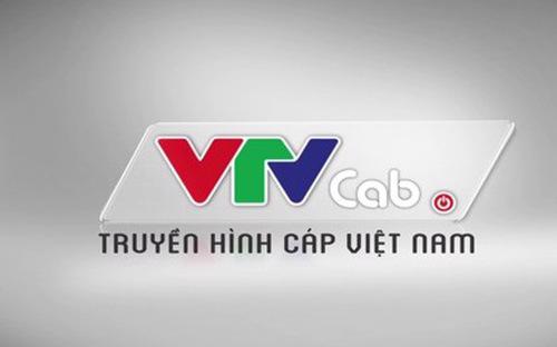 VTVcab đang là một trong hai công ty truyền hình trả tiền có số lượng thuê bao lớn nhất hiện nay.
