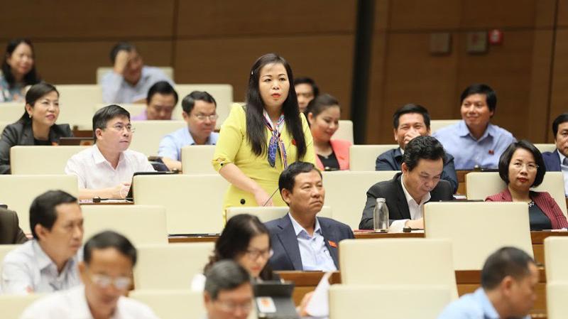 Đại biểu Vũ Thị Lưu Mai phát biểu tại hội trường. 