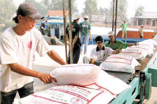Lượng gạo xuất khẩu năm 2010 của Việt Nam dự kiến có thể đạt gần 6 triệu tấn.