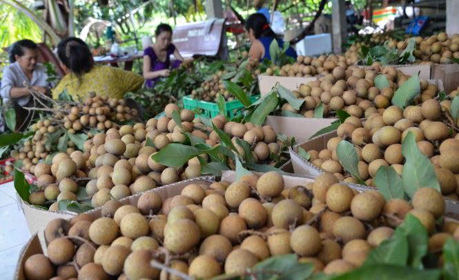 Năm qua Việt Nam đã xuất khẩu được nhiều loại trái cây ngon sang Mỹ...