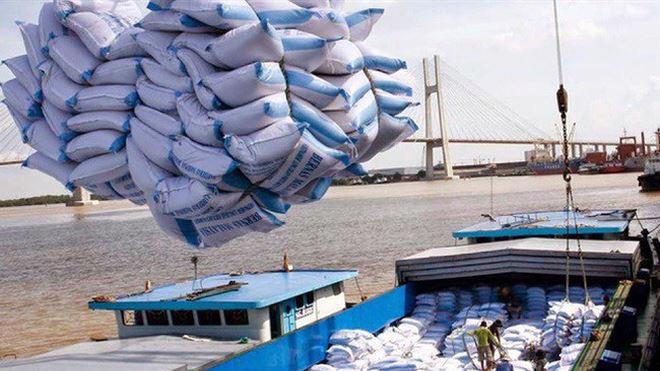 Giá xuất khẩu gạo tăng gần 47 USD/tấn.