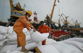 Năm 2011, xuất khẩu gạo của Việt Nam được dự báo sẽ tiếp tục "thắng lớn".
