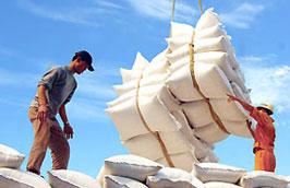 Năm 2011, theo dự báo Việt Nam có thể xuất khẩu được 7 triệu tấn gạo.