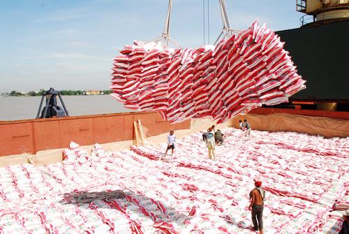 Indonesia đang có hợp đồng mua 1 triệu tấn gạo với Việt Nam.