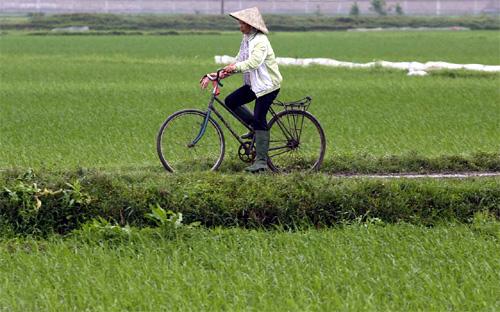 Trong những năm gần đây, Nhật Bản là nước cung cấp viện trợ nhiều nhất cho Việt Nam - Ảnh: Reuters.<br>