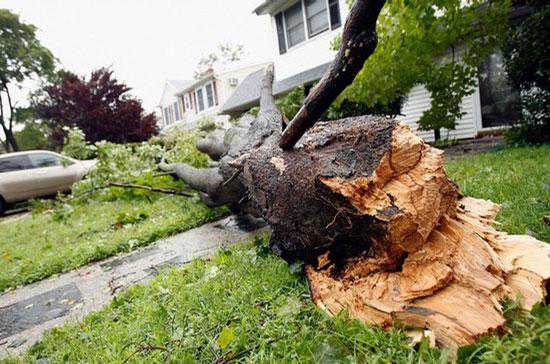 Siêu bão Irene ước tính sẽ gây thiệt hại cho nước Mỹ từ 8 - 15 tỷ USD - Ảnh: Getty.