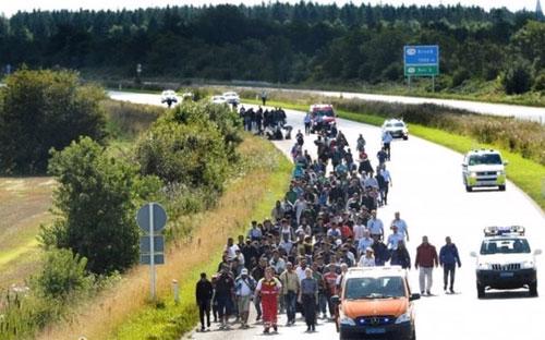 Một đoàn người di cư đi từ Đức sang Đan Mạch bằng đường bộ - Ảnh: Reuters/BBC.<br>
