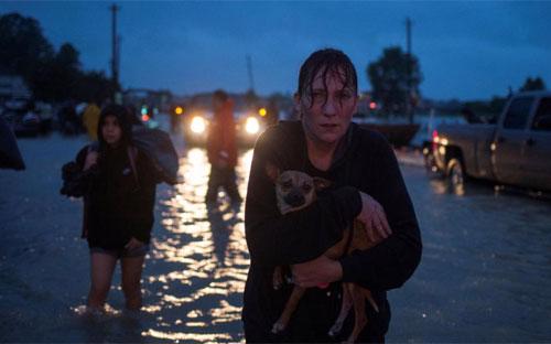 Thành phố Houston của Texas mấy ngày qua đã biến thành một biển nước do ngập lụt nghiêm trọng sau bão Harvey - Ảnh: Reuters.<br>