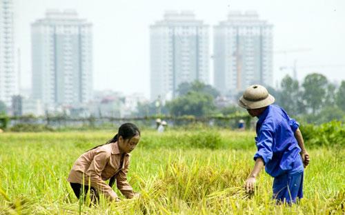 So với năm 2011, số lượt công dân khiếu nại, tố cáo giảm 2,06%, số lượng
 đơn thư khiếu nại, tố cáo giảm 7,31% nhưng số lượt đoàn đông người tăng
 22,6% - Ảnh minh họa. 