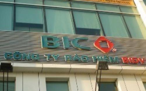 Hiện, BIC sở hữu 65% vốn tại Công ty Liên doanh Bảo hiểm Lào Việt (LVI) 
và đang đại diện BIDV quản lý 51% vốn tại Công ty Bảo hiểm Cambodia Việt
 Nam (CVI).