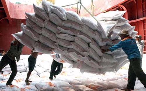  Năm 2013, Việt Nam xuất khẩu đạt 6,681 triệu tấn gạo, trị giá FOB 2,893 tỷ USD, trị giá CIF 3,019 tỷ USD.