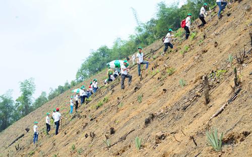 Tham gia ngày hội trồng rừng năm nay có hơn 200 cán bộ công nhân viên 
Honda Việt Nam, các đối tác của Công ty Honda Việt Nam tại tỉnh Bắc Kạn 
cùng đông đảo người dân địa phương.